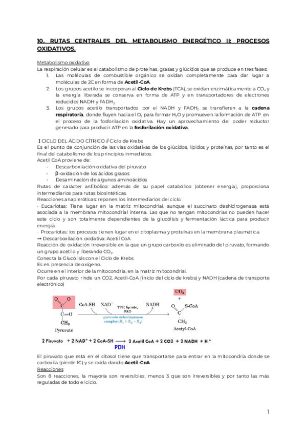 Miniatura del documento 10.pdf