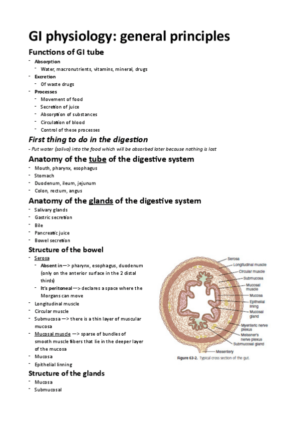 Miniatura del documento GI-physiology.pdf
