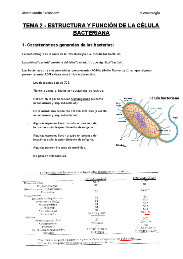 Miniatura del documento TEMA-2-ESTRUCTURA-Y-FUNCION-DE-LA-CELULA-BACTERIANA.pdf