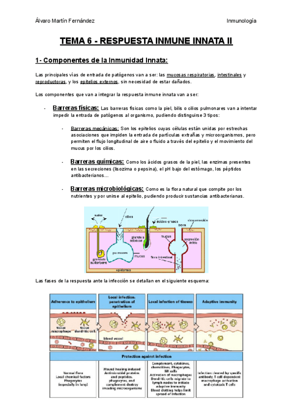 Miniatura del documento TEMA-6-RESPUESTA-INMUNE-INNATA-II.pdf