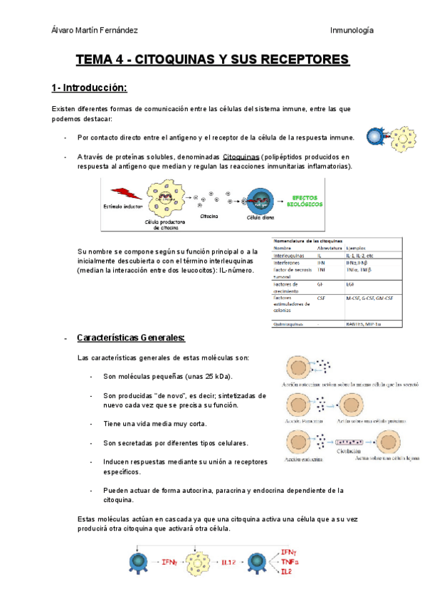 Miniatura del documento TEMA-4-CITOQUINAS-Y-SUS-RECEPTORES.pdf