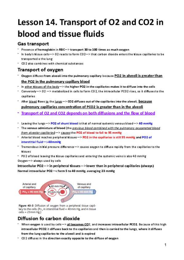 Miniatura del documento Lesson-13.pdf