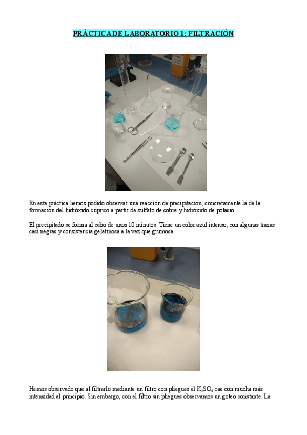 Miniatura del documento Ficha-practica-1-quimica.pdf