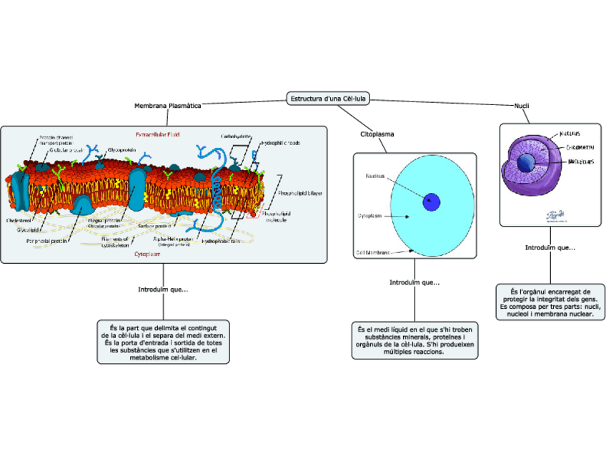 Miniatura del documento Tema-1.pdf