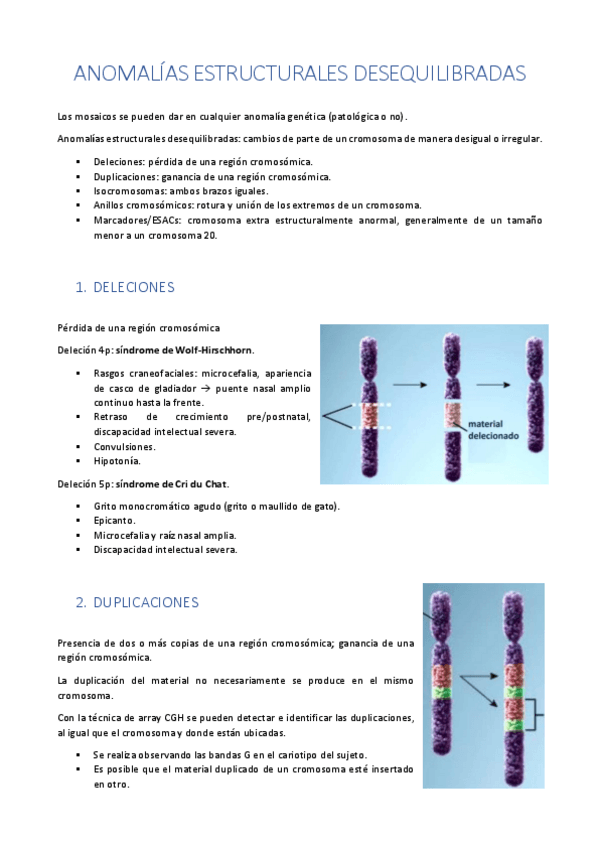 Miniatura del documento anomalias-estructurales.pdf