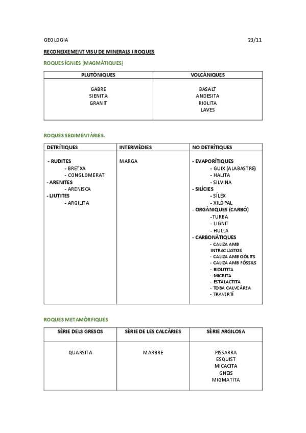 Miniatura del documento VISU-ROQUES.pdf
