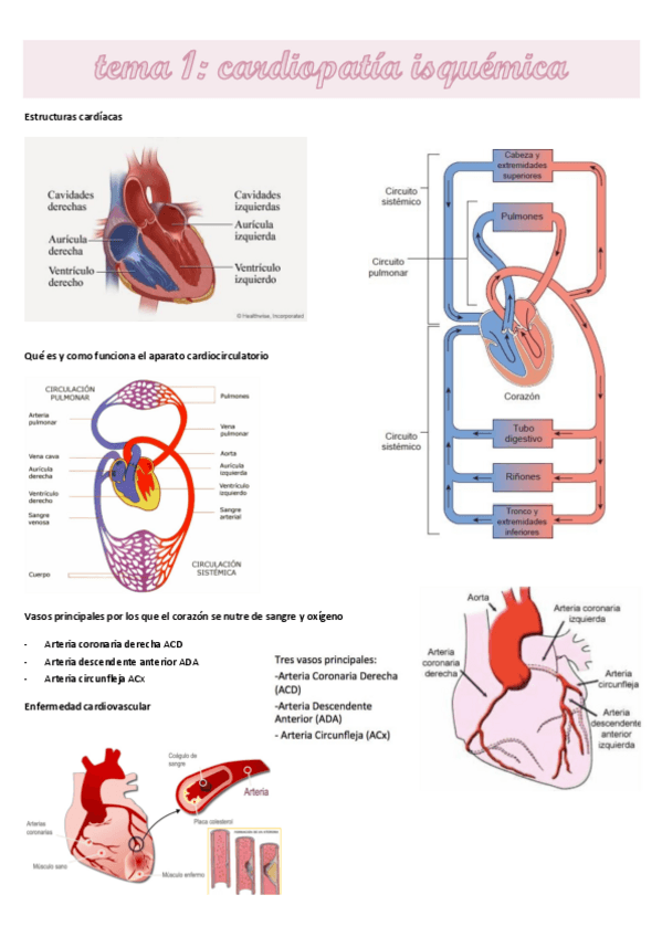 Miniatura del documento CARDIO1.pdf