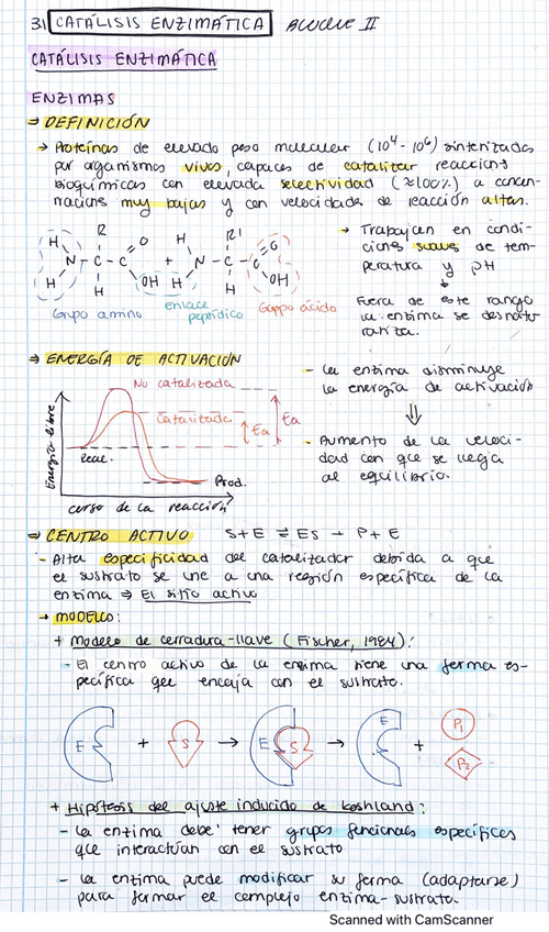 Miniatura del documento 3-1-Catalisis-Enzimatica.pdf