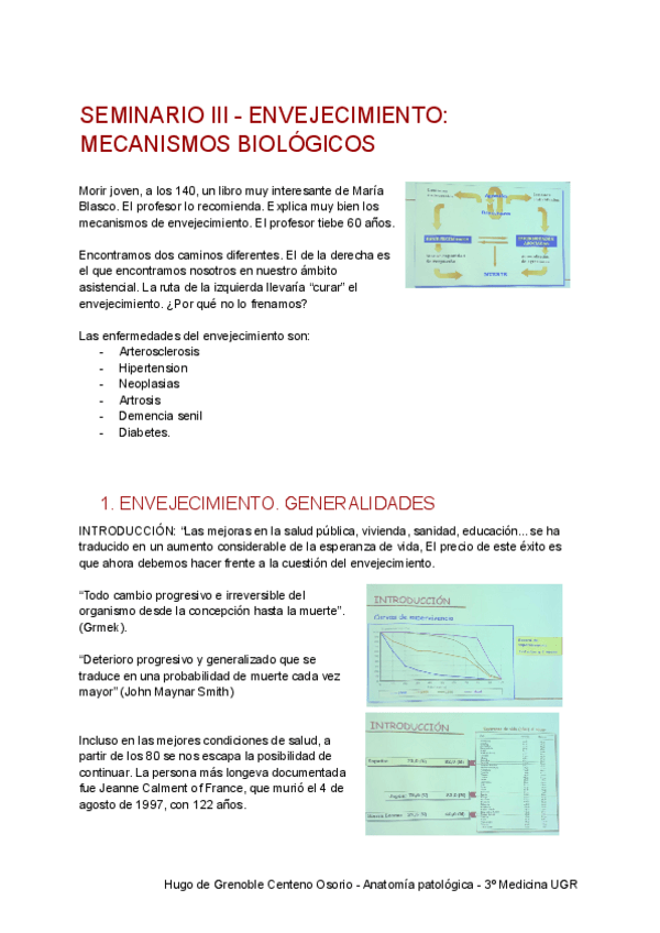 Miniatura del documento SEMINARIO-III-AP.pdf