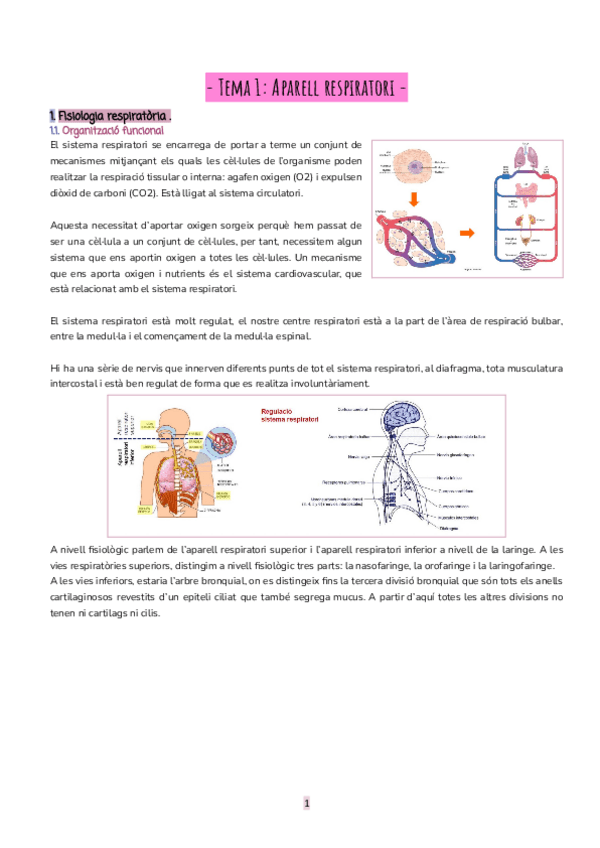 Miniatura del documento fisiologia-dels-organs-de-la-veu-i-la-parla.pdf