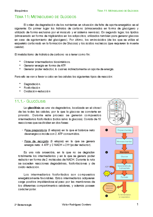 Miniatura del documento Bioquimica-2.pdf