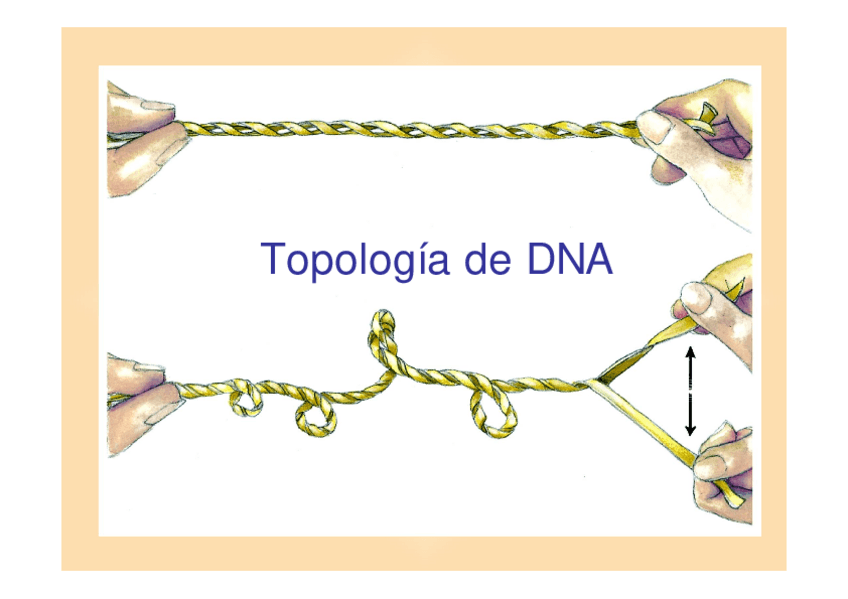 Miniatura del documento Superenrrollamiento.pdf