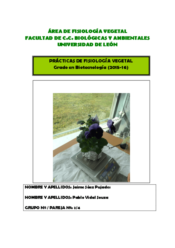 Miniatura del documento Practicas-I.pdf