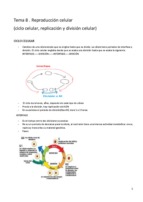 Miniatura del documento Tema-8.pdf