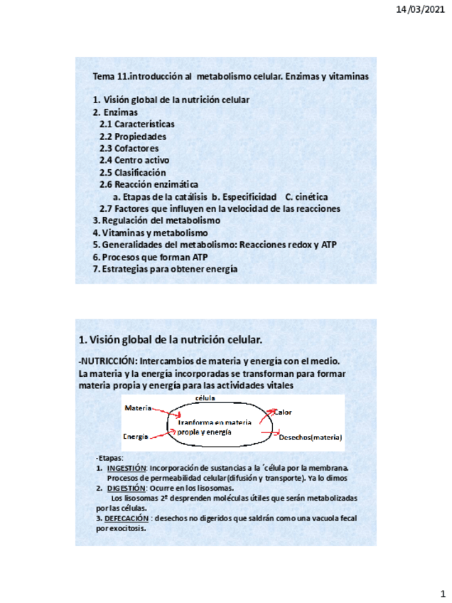 Miniatura del documento Tema-11.pdf