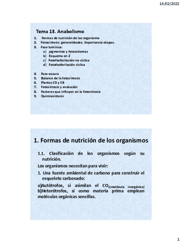 Miniatura del documento Tema-13.pdf