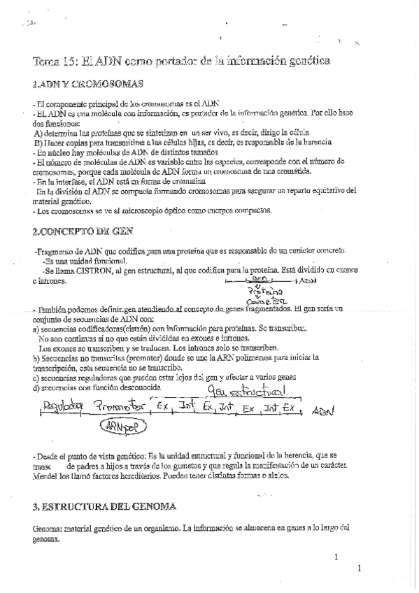 Miniatura del documento TEMA-15-ADN.pdf