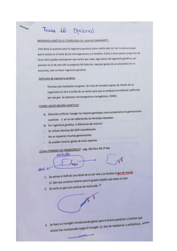 Miniatura del documento Tema-16.pdf