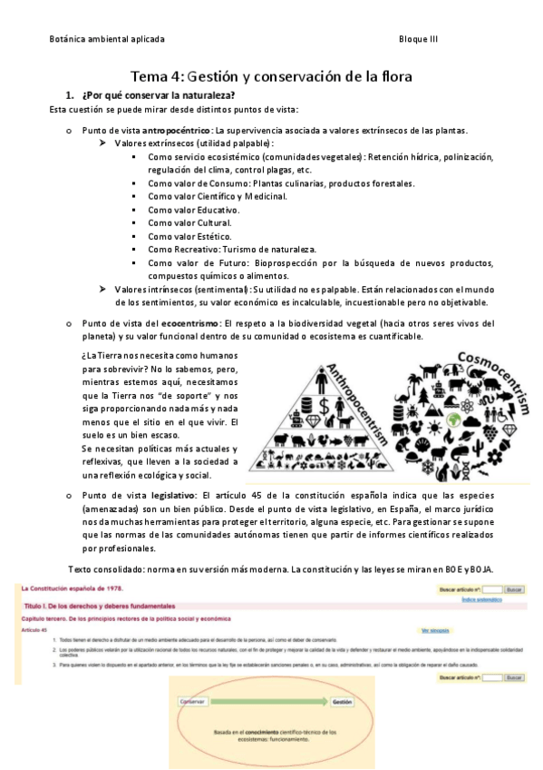 Miniatura del documento Tema-4.pdf