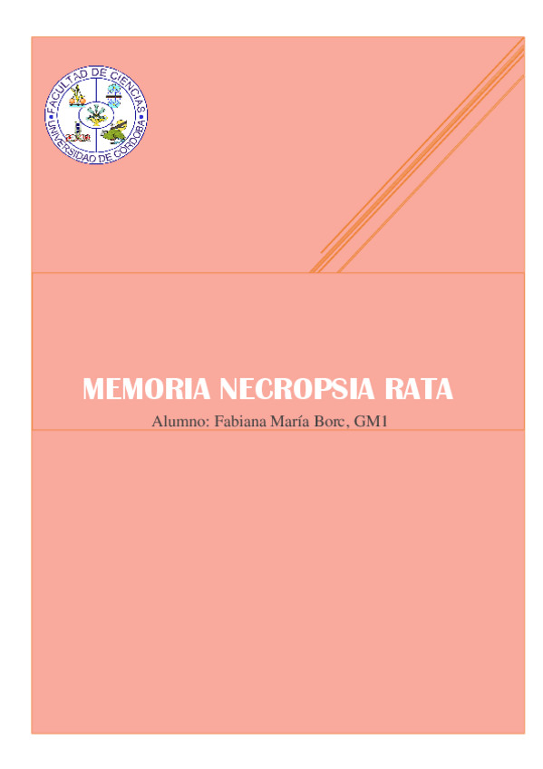 Miniatura del documento Memoria-necropsia-rata.pdf