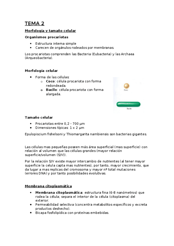Miniatura del documento TEMA-2-microbiologia.docx