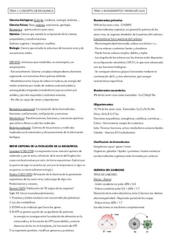 Miniatura del documento T1-y-T2-bioquimica-I.pdf