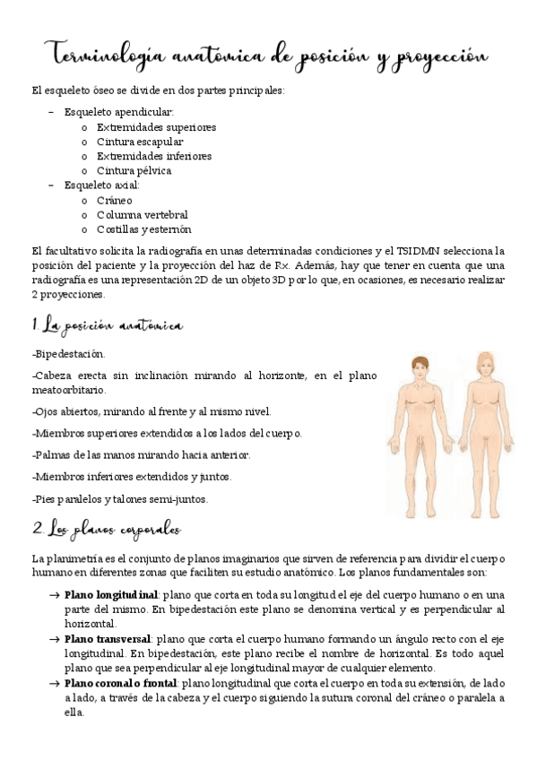 Miniatura del documento Terminologia-anatomica-RS.pdf