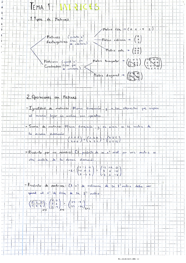 Miniatura del documento matrices.pdf