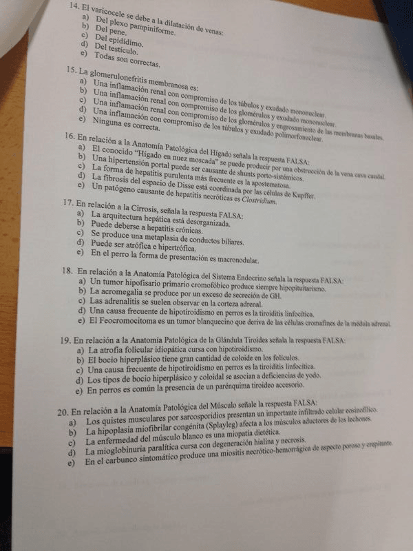 Miniatura del documento IMG_3780.JPG