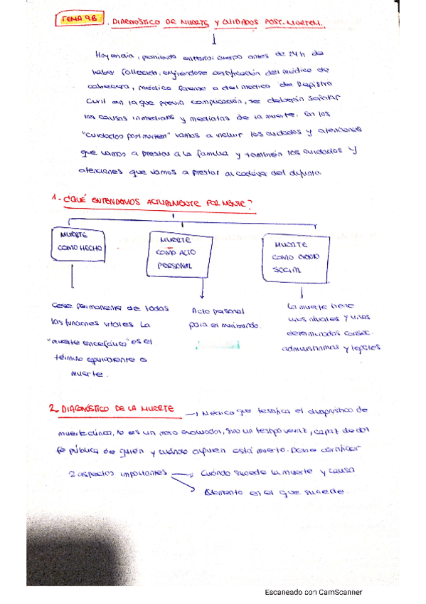 Miniatura del documento TEMA9BSumarivaSotoAnays.pdf