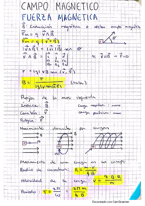 Miniatura del documento CAMPO-MAGNETICO.pdf