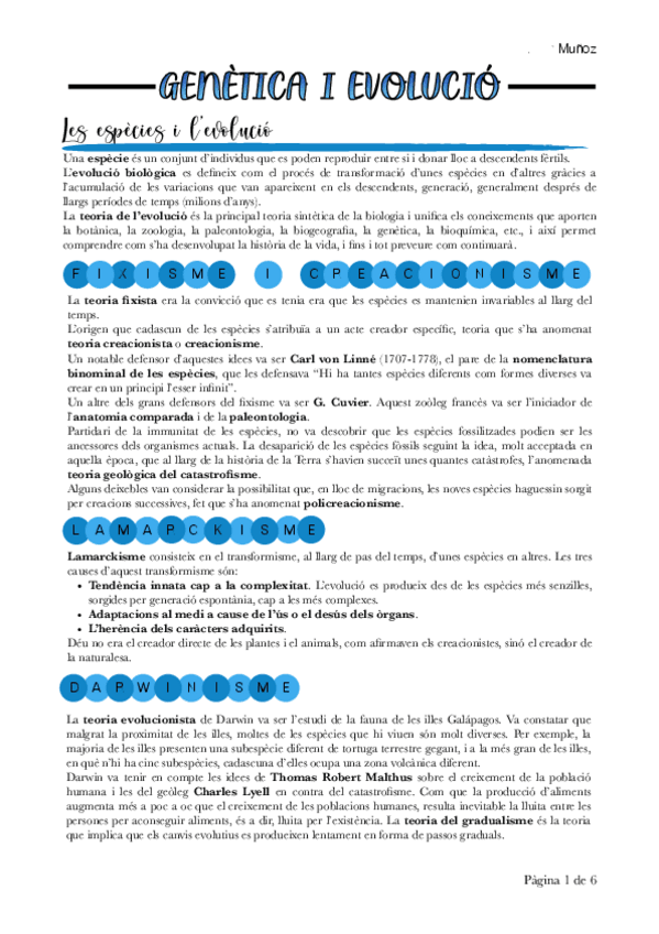Miniatura del documento Genetica-i-evolucio.pdf