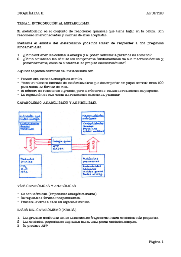 Miniatura del documento BIOQUIMICA-II.pdf