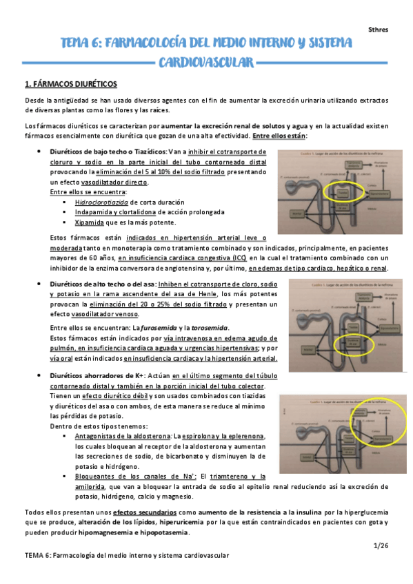 Miniatura del documento TEMA-6.pdf