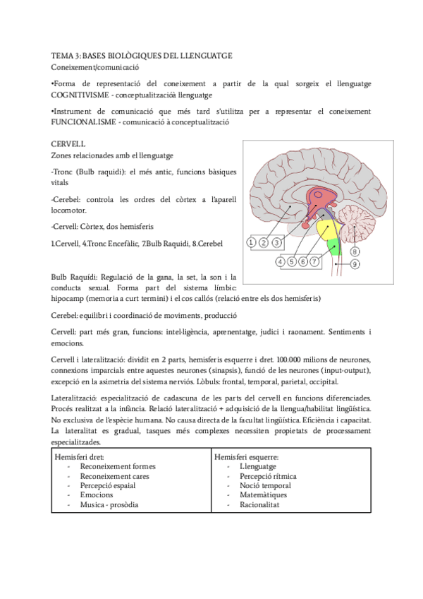 Miniatura del documento apunts-tema-3.pdf