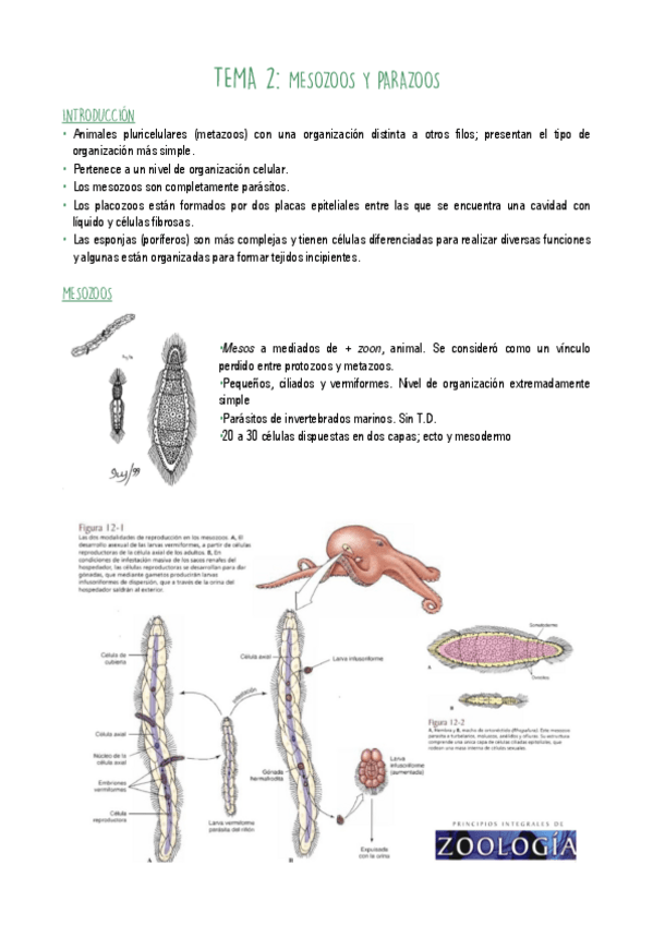 Miniatura del documento T2.pdf