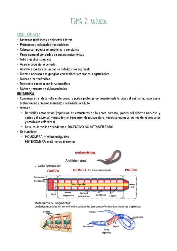 Miniatura del documento T7.pdf