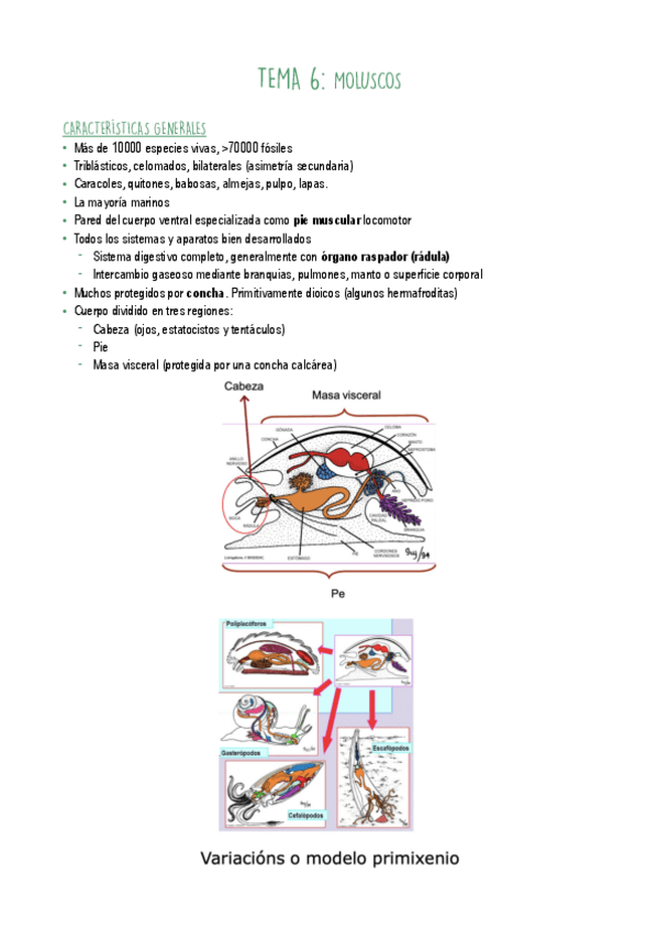 Miniatura del documento T6.pdf