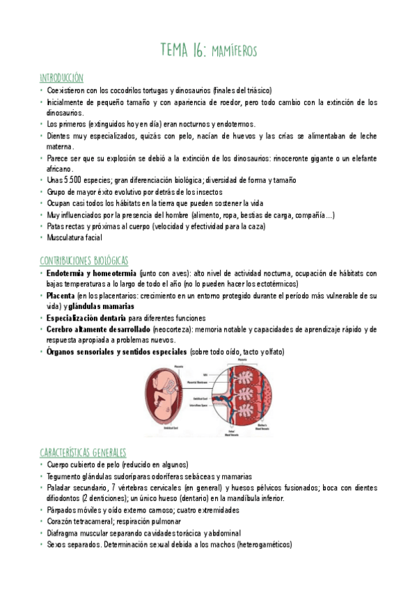 Miniatura del documento T16.pdf