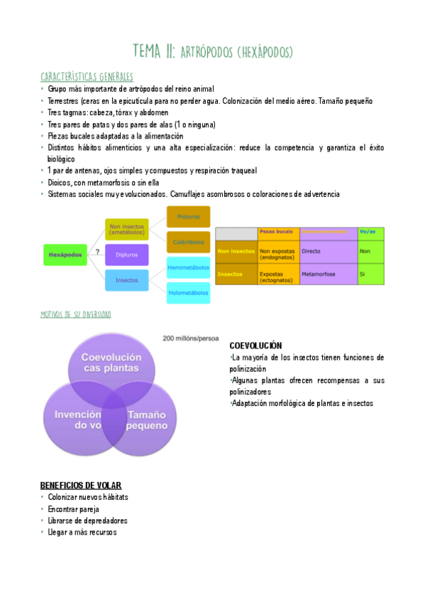 Miniatura del documento T11.pdf