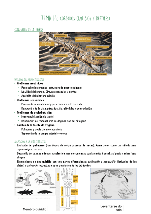 Miniatura del documento T14.pdf