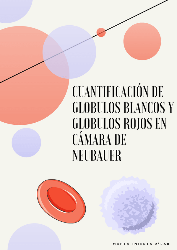 Miniatura del documento CUANTIFICACION-DE-GLOBULOS-BLANCOS-Y-GLOBULOS-ROJOS-EN-CAMARA-DE-NEUBAUER.pdf