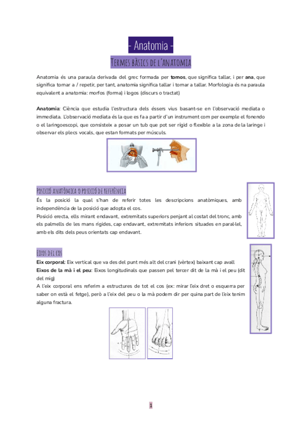 Miniatura del documento Anatomia-dels-organs-de-la-veu-i-la-parla.pdf