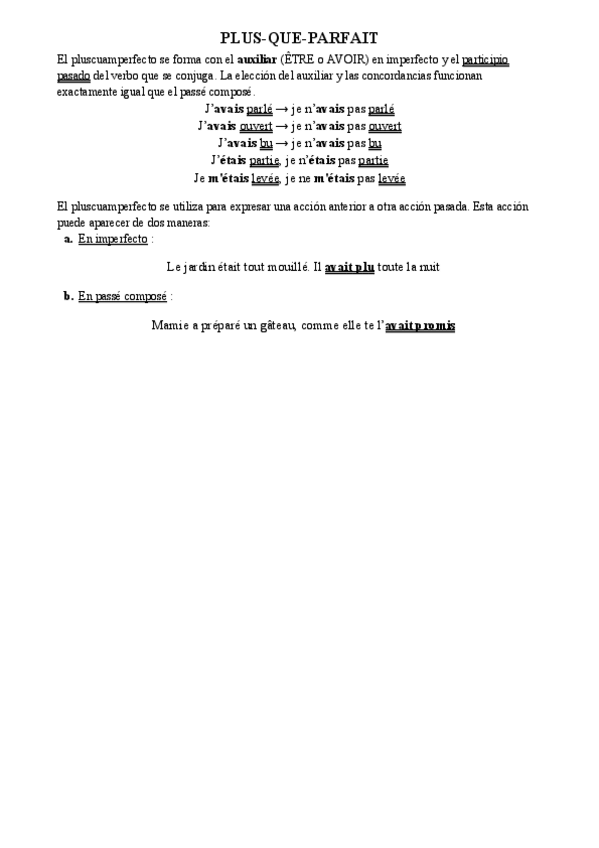 Miniatura del documento PLUS-QUE-PARFAIT.pdf