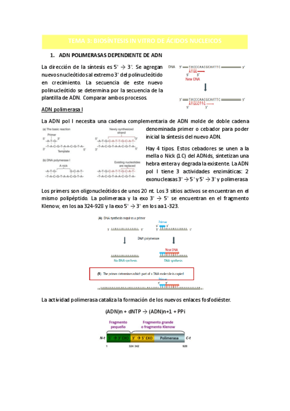 Miniatura del documento TEMA-3.pdf