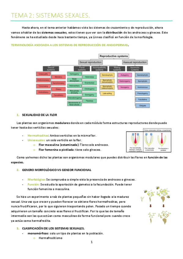 Miniatura del documento TEMA-2.pdf