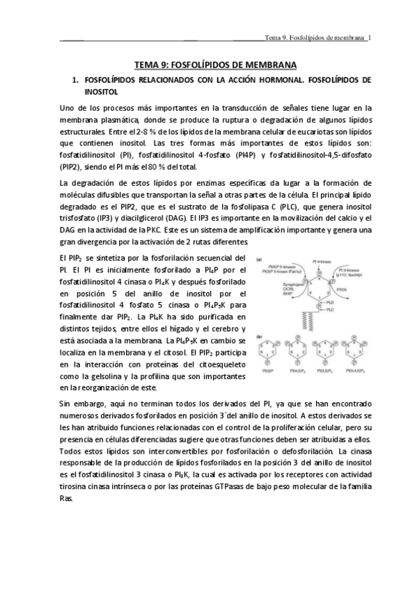 Miniatura del documento TEMA-9.pdf