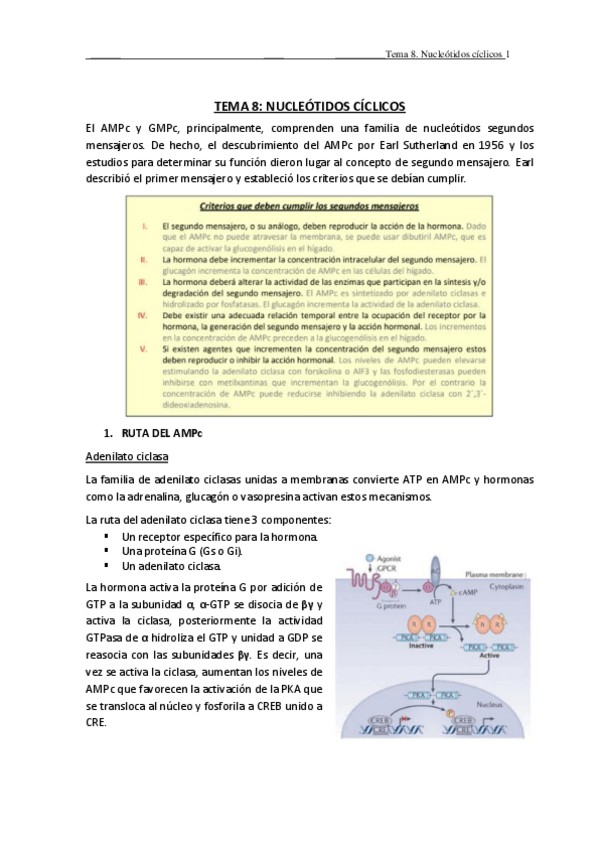 Miniatura del documento TEMA-8.pdf