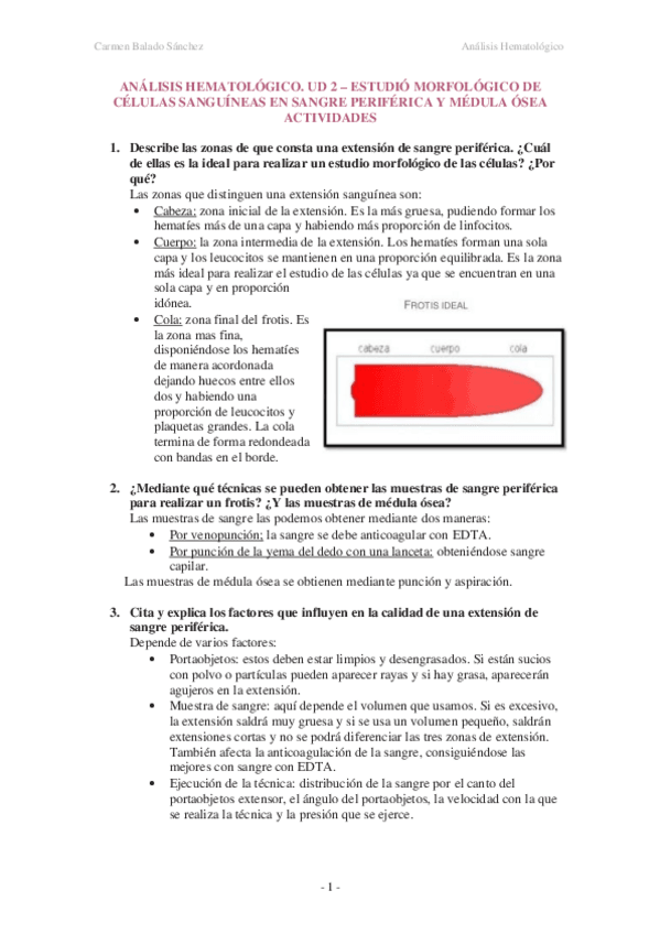 Miniatura del documento Actividades tema 2 hemato .pdf