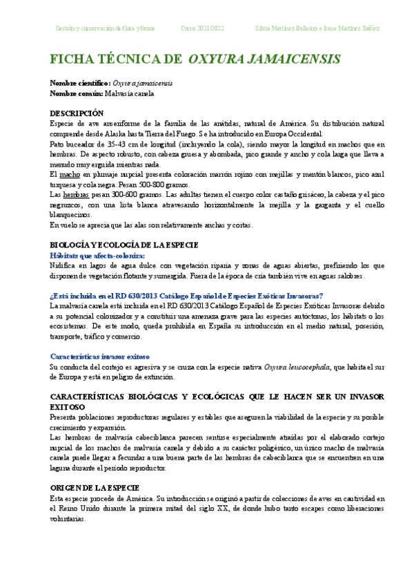 Miniatura del documento Grupo18Oxyurajamaicensis.pdf